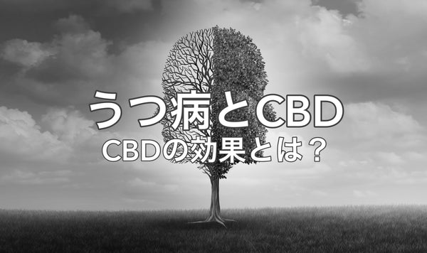 うつ病とCBD : CBDの効果とは？